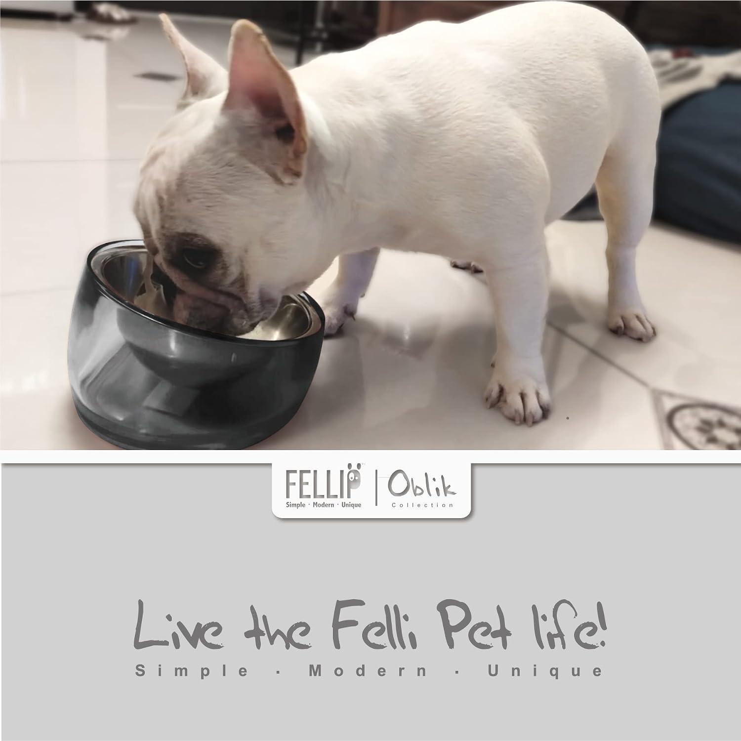 White dog drinking from a black bowl with Felli Pet branding at Pet Servo