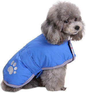 Small dog wearing a blue puffer jacket with paw print design on a white background at Pet Servo