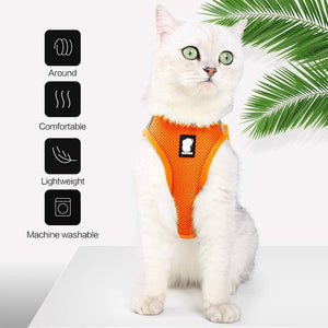 Cat wearing an orange harness with text indicating features on a white background at Pet Servo