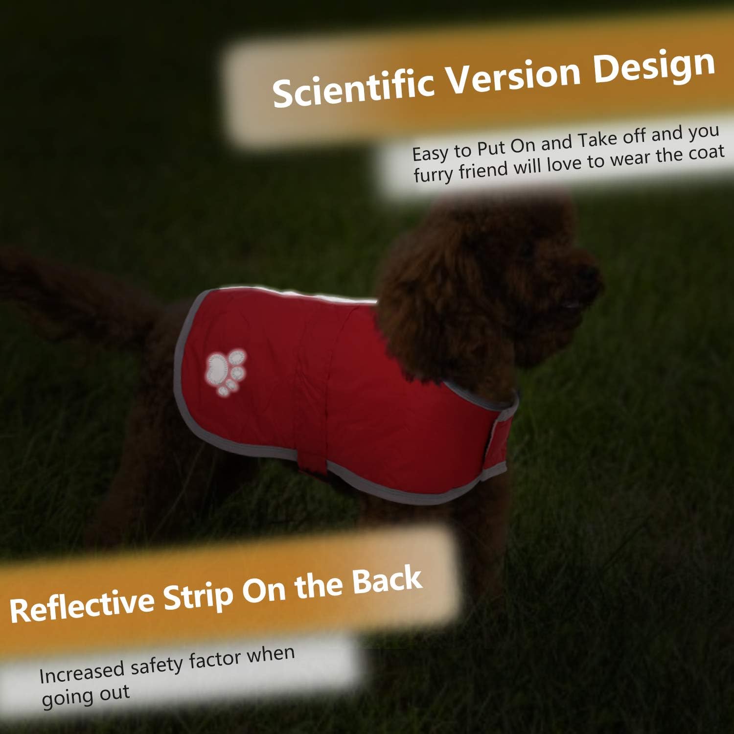 Dog wearing a red coat with a reflective strip on a grassy  background at Pet Servo