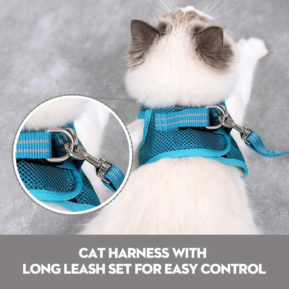 Cat wearing a blue harness and leash set on a gray background at Pet Servo