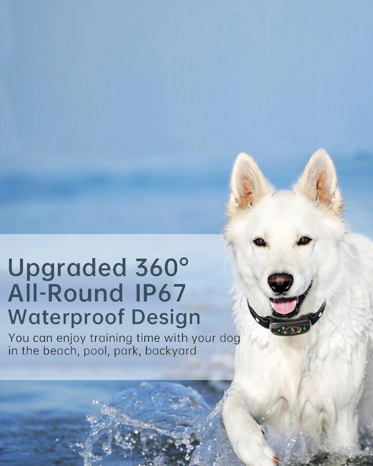 White dog with a waterproof device on a beach at Pet Servo