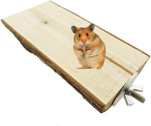 Hamster on a wooden platform with a white background at Pet Servo