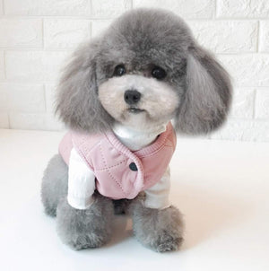 Small dog wearing a pink outfit with a white background at Pet Servo