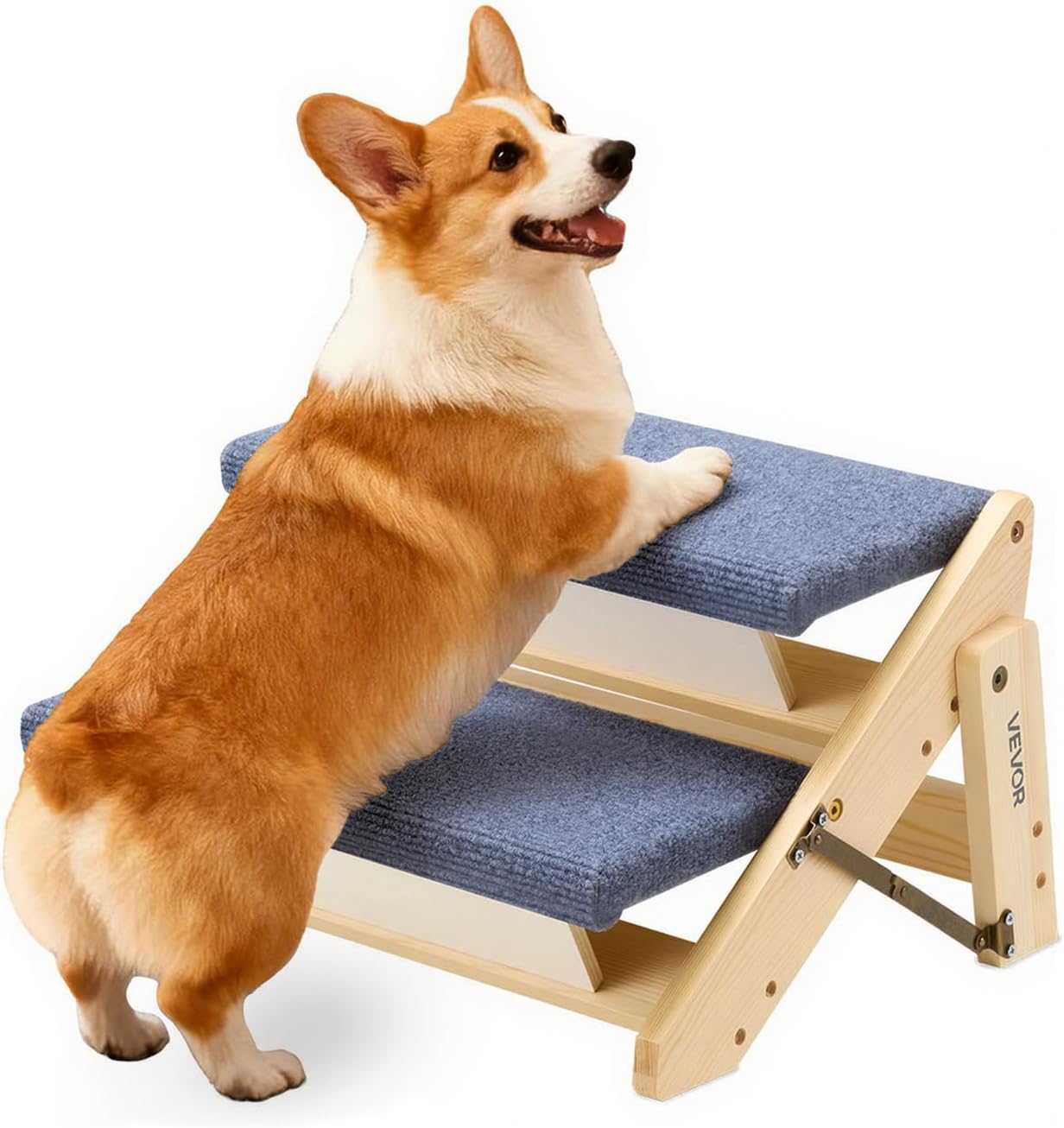 Corgi dog standing on a wooden pet ramp with blue cushion at Pet Servo