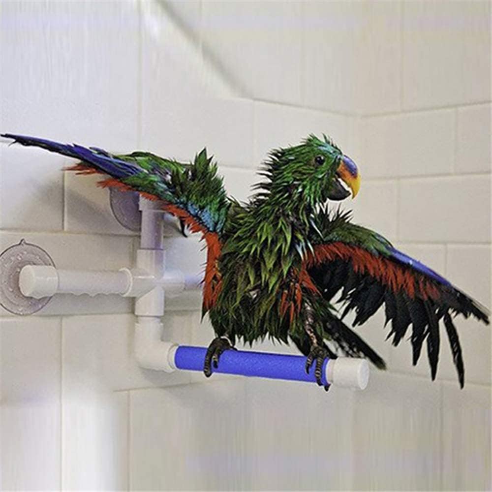 Colorful parrot using a shower head attachment on a tiled bathroom wall at Pet Servo