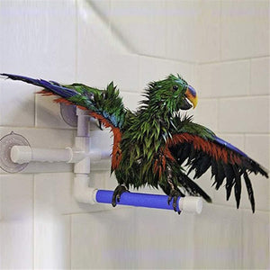 Colorful parrot using a shower head attachment on a tiled bathroom wall at Pet Servo