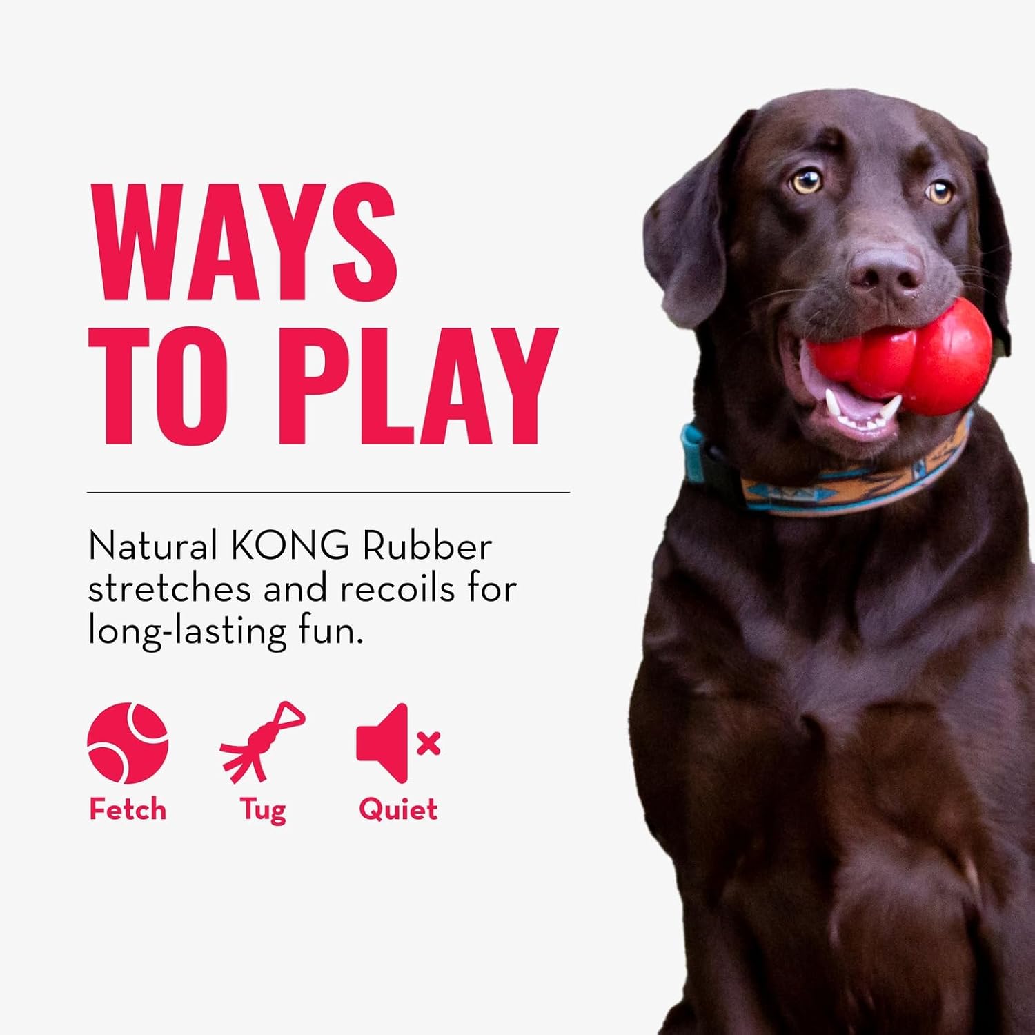 Dog playing with a red KONG toy on a white background with text about ways to play at Pet Servo