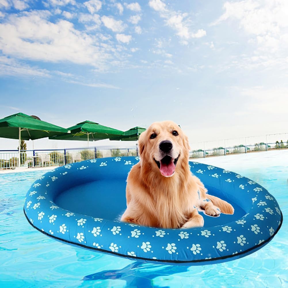 Dog on a blue inflatable pool float with paw prints in a pool under a clear sky at Pet Servo