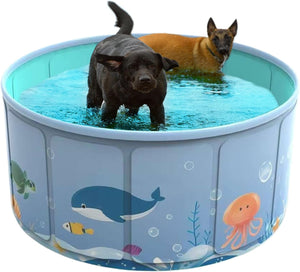 Two dogs in a pool with ocean-themed design on a white background at Pet Servo