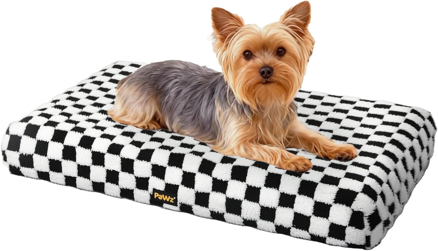 Small dog lying on a black and white checkered pet bed at Pet Servo
