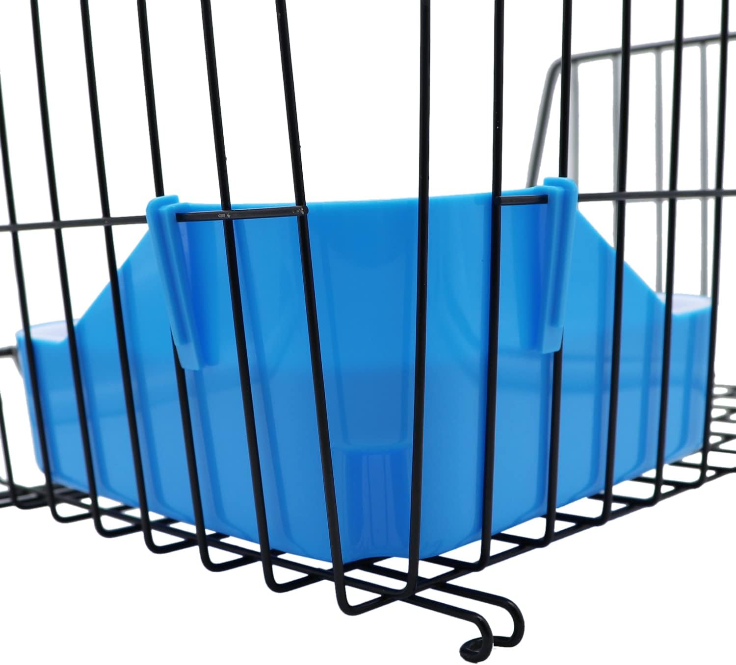 Blue plastic ramp inside a black wire cage at Pet Servo