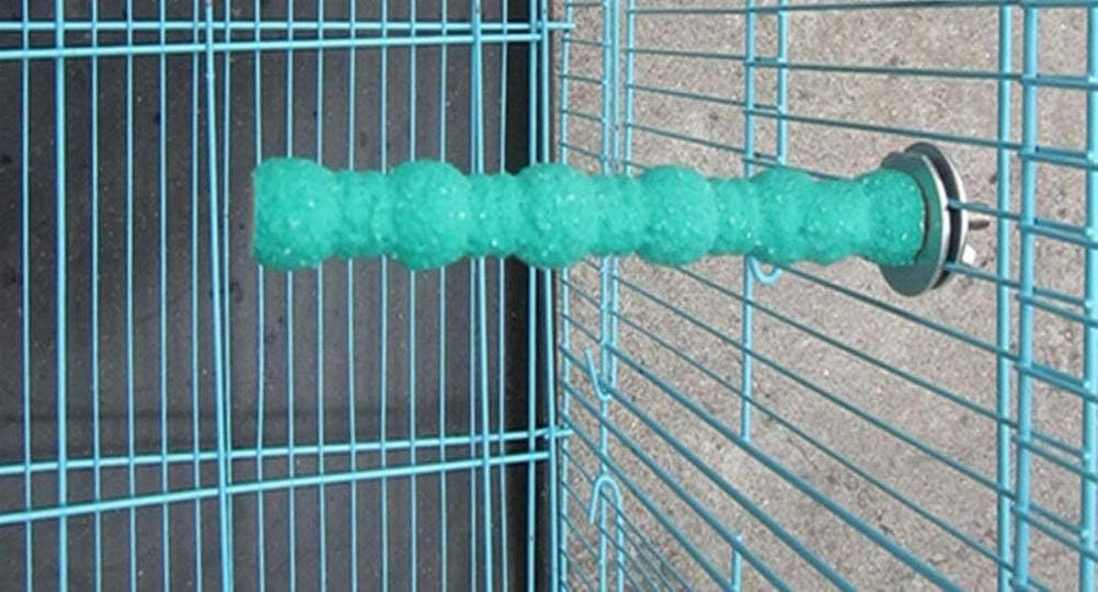 Green cylindrical object attached to a metal cage at Pet Servo