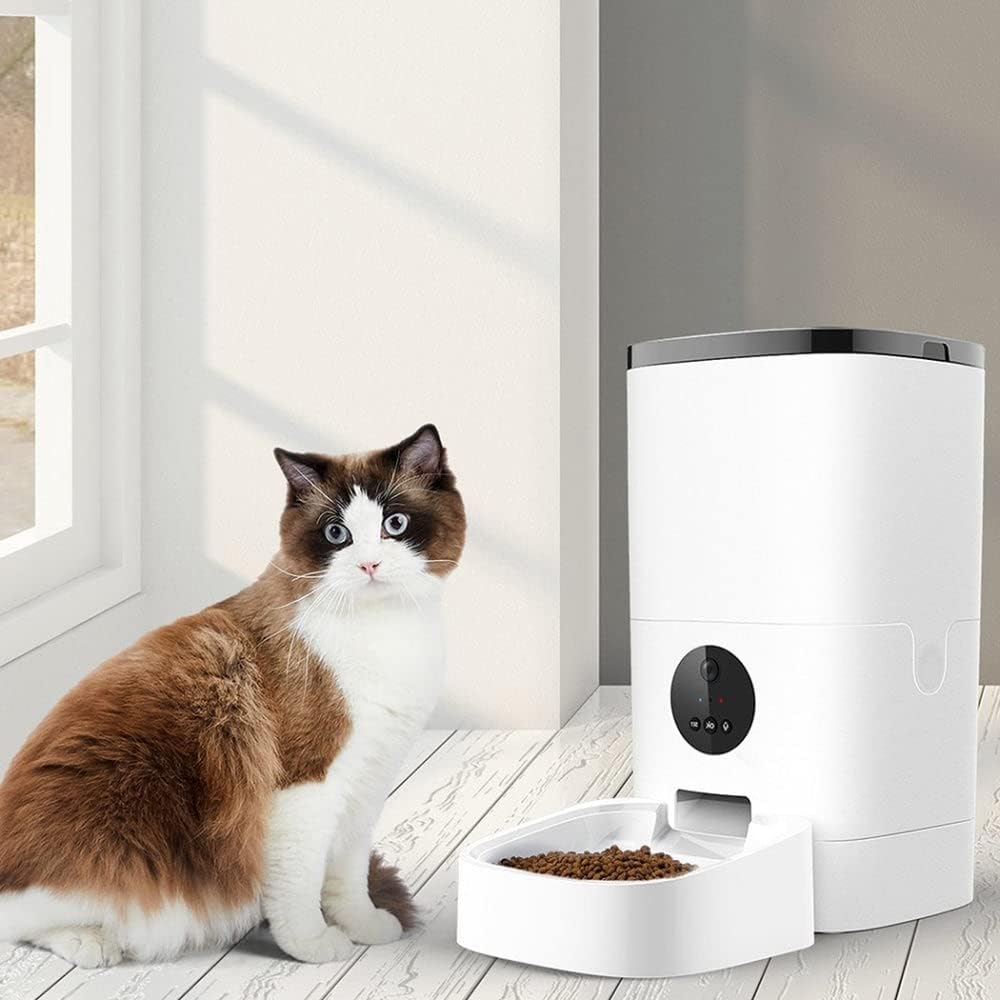Cat sitting next to a white pet feeder on a wooden floor at Pet Servo