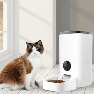 Cat sitting next to a white pet feeder on a wooden floor at Pet Servo