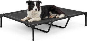 Dog lying on a black elevated pet bed with a white background at Pet Servo