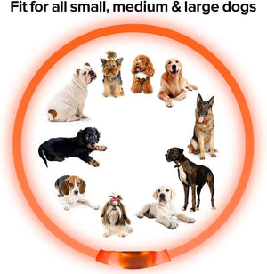 Dehlso - LED Dog Collar – Rechargeable Light-Up Safety Gear - Petservo