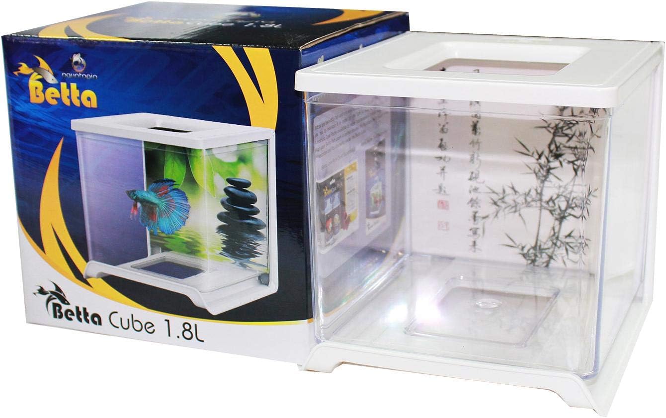 Betta Cube aquarium with packaging featuring Betta branding at Pet Servo