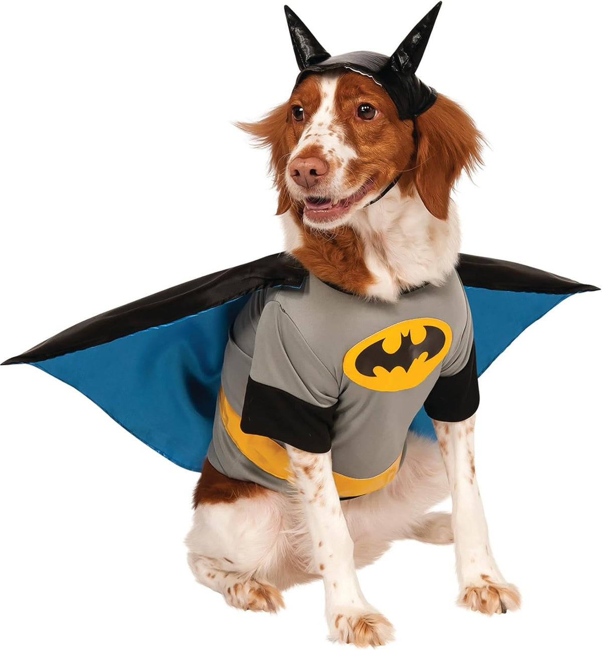 A small dog wearing a Batman costume, featuring a gray shirt with a yellow bat logo, black and blue cape, and black pointed ears headband, photographed against a plain white background at Pet Servo