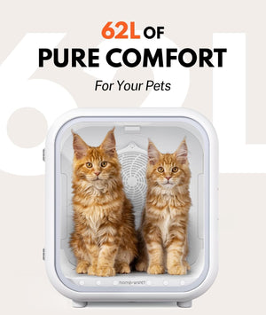 Two cats inside a pet carrier with text '62L of Pure Comfort for Your Pets' on a light background.