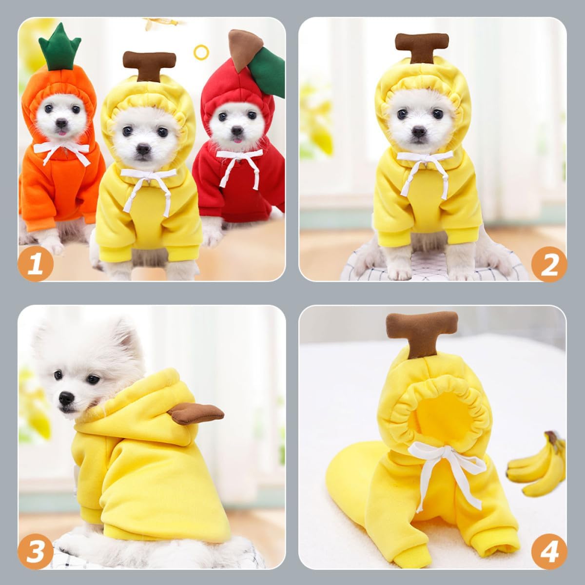 Dog in a yellow banana costume with a brown stem on a light gray background at Pet Servo