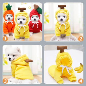 Dog in a yellow banana costume with a brown stem on a light gray background at Pet Servo