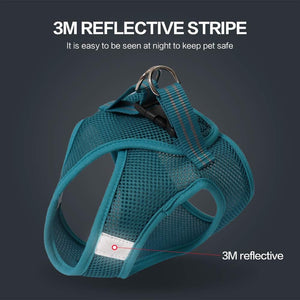Teal dog harness with 3M reflective stripe on a dark background at Pet Servo