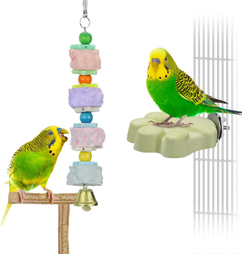 Two green parakeets interacting with a colorful bird toy and perch inside a cage at Pet Servo