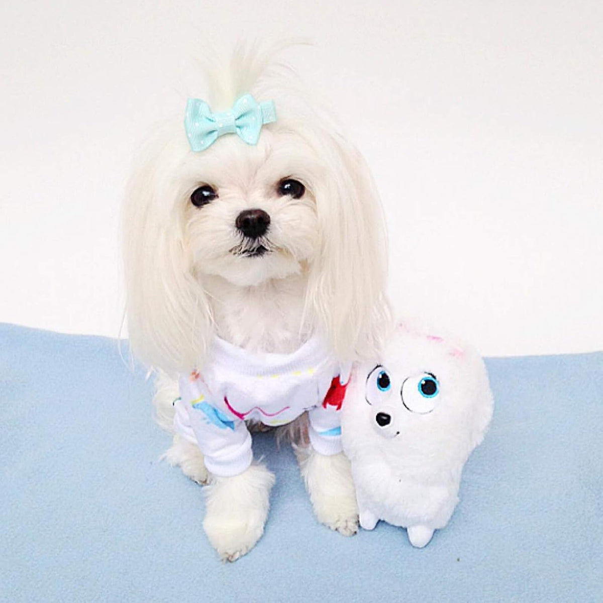 Small white dog with a bow tie next to a plush toy on a blue surface at Pet Servo