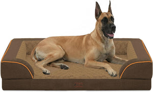 Dog lying on a brown pet bed with orange trim at Pet Servo