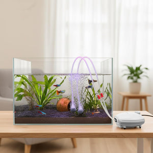 Fish tank with plants and fish on a wooden table, accompanied by an air pump at Pet Servo