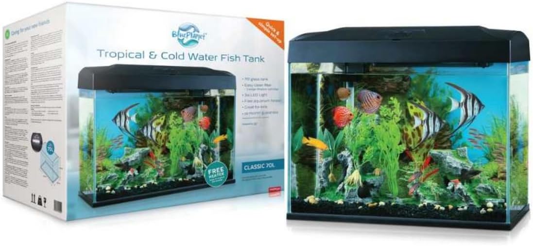 Fish tank with decorative elements next to its packaging at Pet Servo