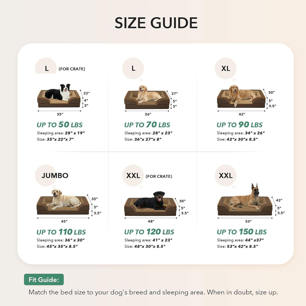 Size guide for dog beds with measurements and weight capacity on a beige background at Pet Servo