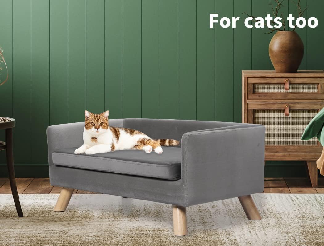Cat lying on a small gray sofa with a green wall and wooden furniture in the background at Pet Servo