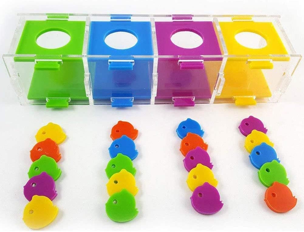 Colorful magnetic tiles with storage box on a white background at Pet Servo