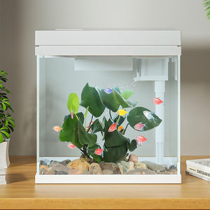 Craftsboys - Fish Tank with Filter & LED Light - Pet Servo