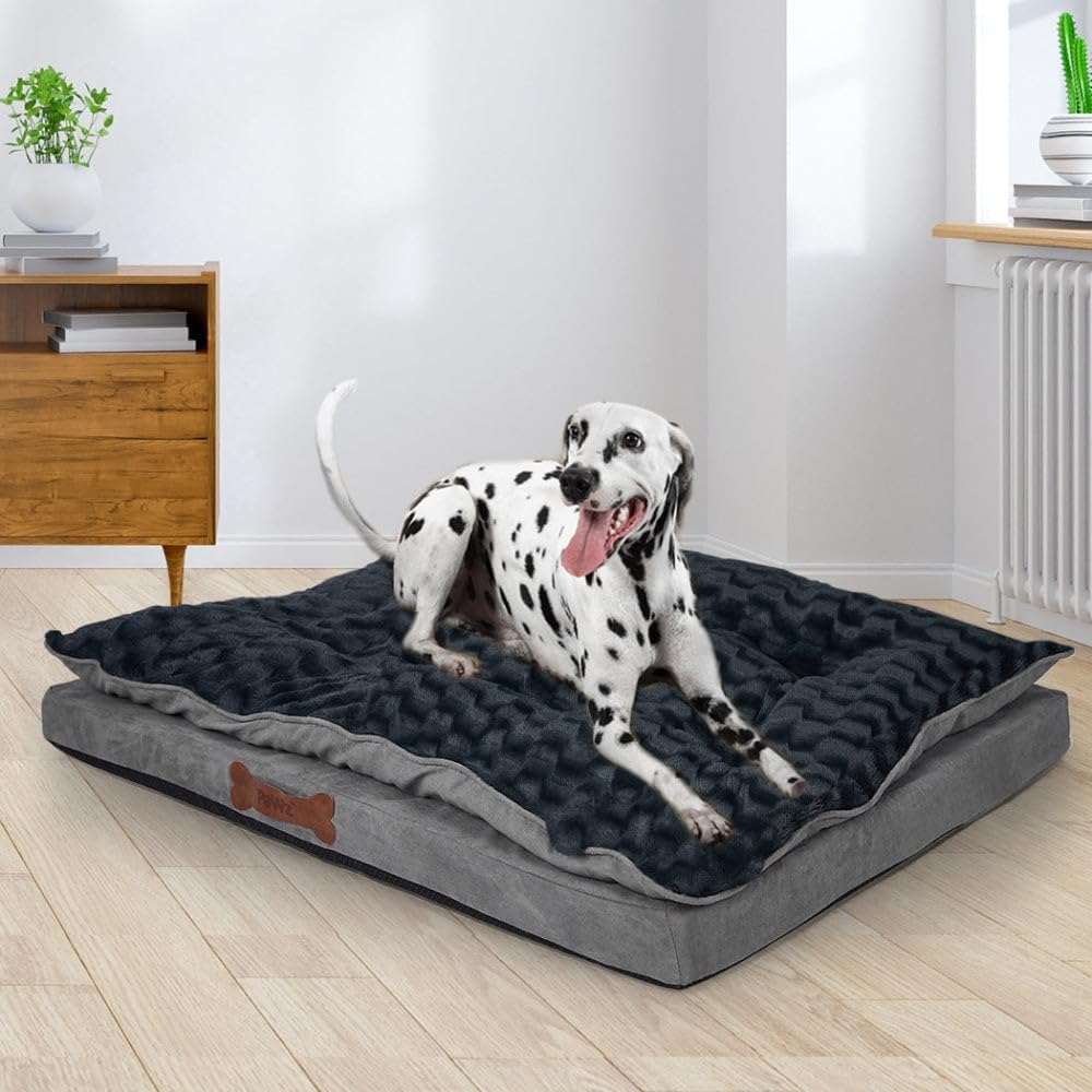 Dog lying on a large gray pet bed in a room with a wooden dresser and plants at Pet Servo