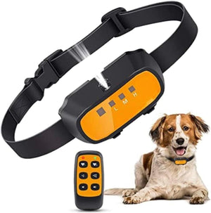 Dog training collar with remote control and a dog sitting next to it on a white background at Pet Servo
