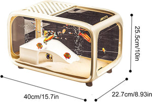 Small fish tank with decorative elements and dimensions displayed at Pet Servo