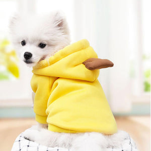 Small white dog wearing a yellow hoodie with brown accents on a light background at Pet Servo