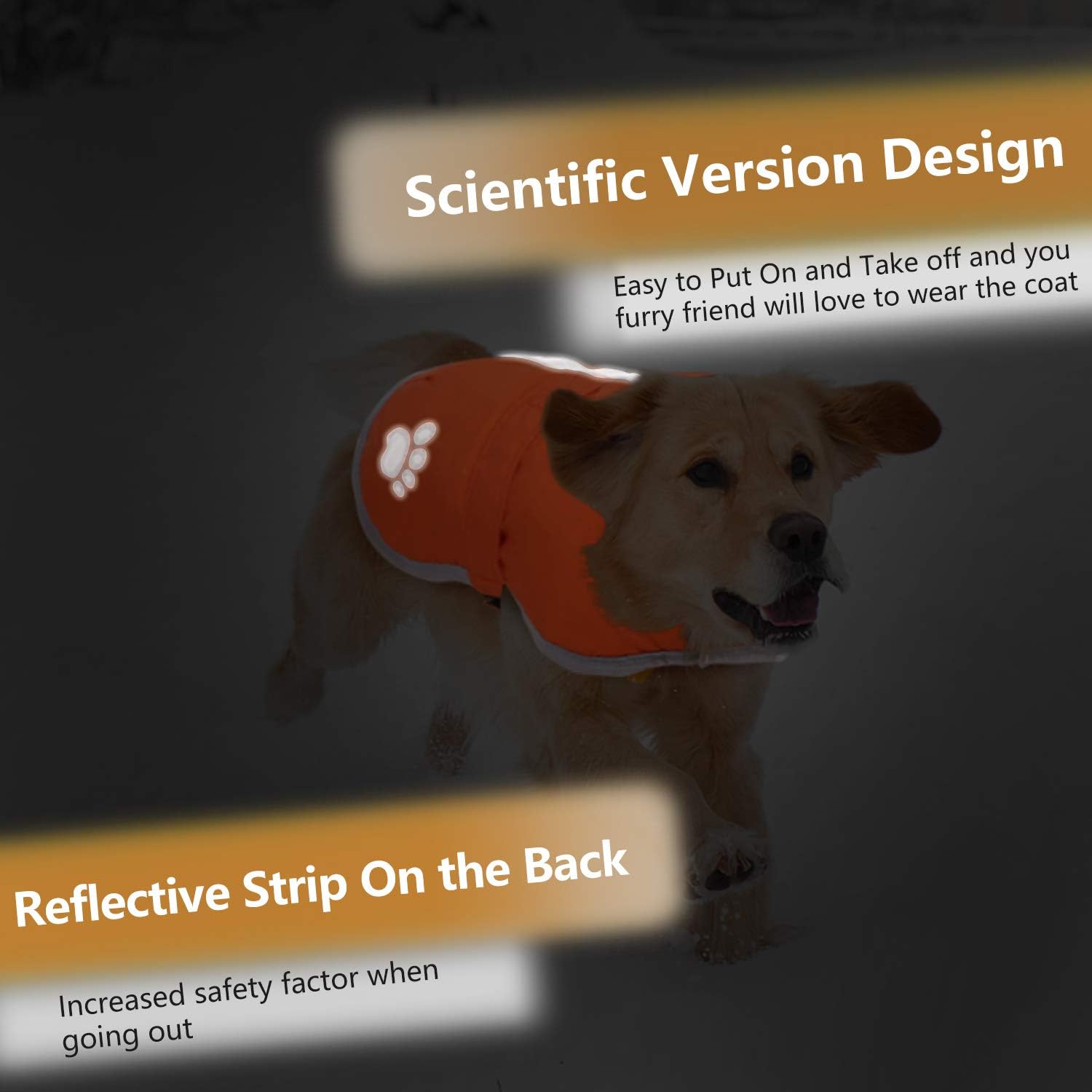 Dog wearing an orange coat with a reflective strip on a dark background at Pet Servo
