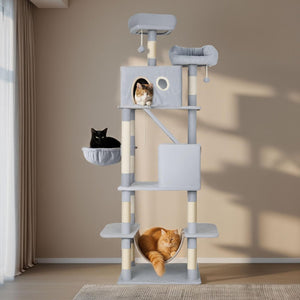 Cat tree with multiple levels and cat beds in a room at Pet Servo