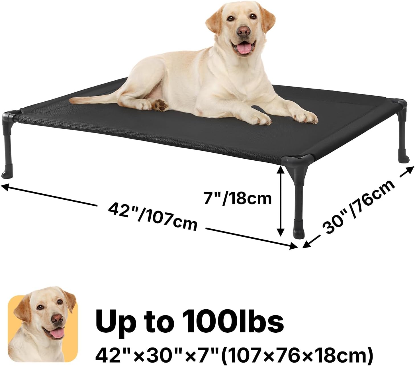 Dog lying on a black elevated pet bed with dimensions and weight capacity displayed.