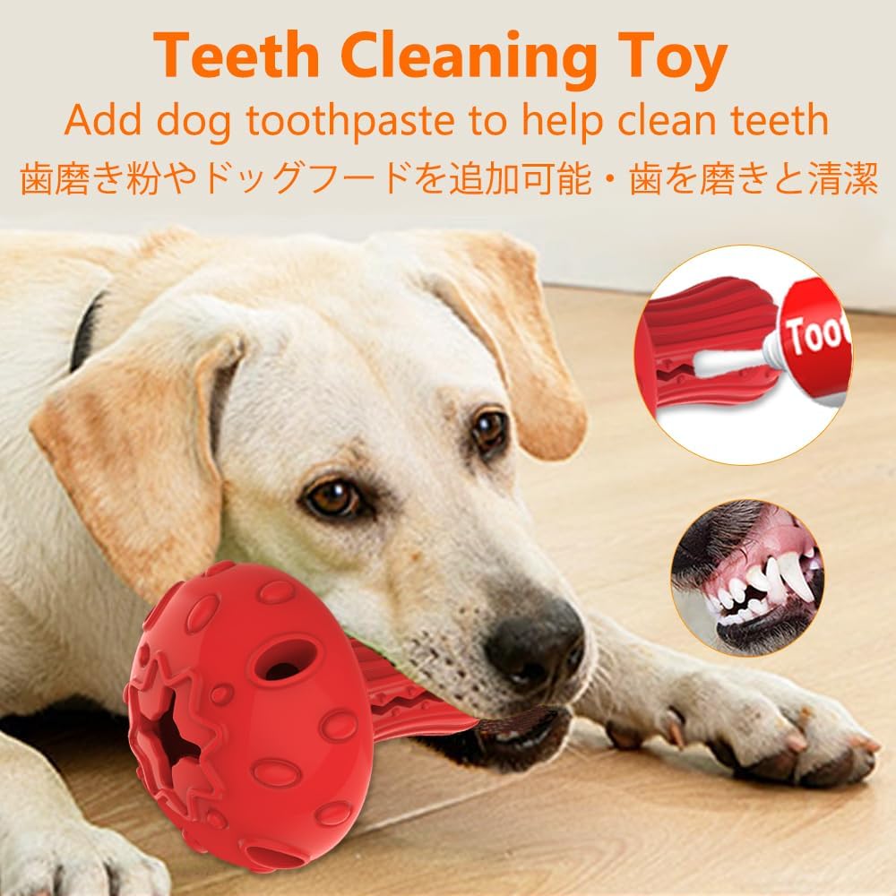 Dog playing with a red teeth cleaning toy on a wooden floor at Pet Servo