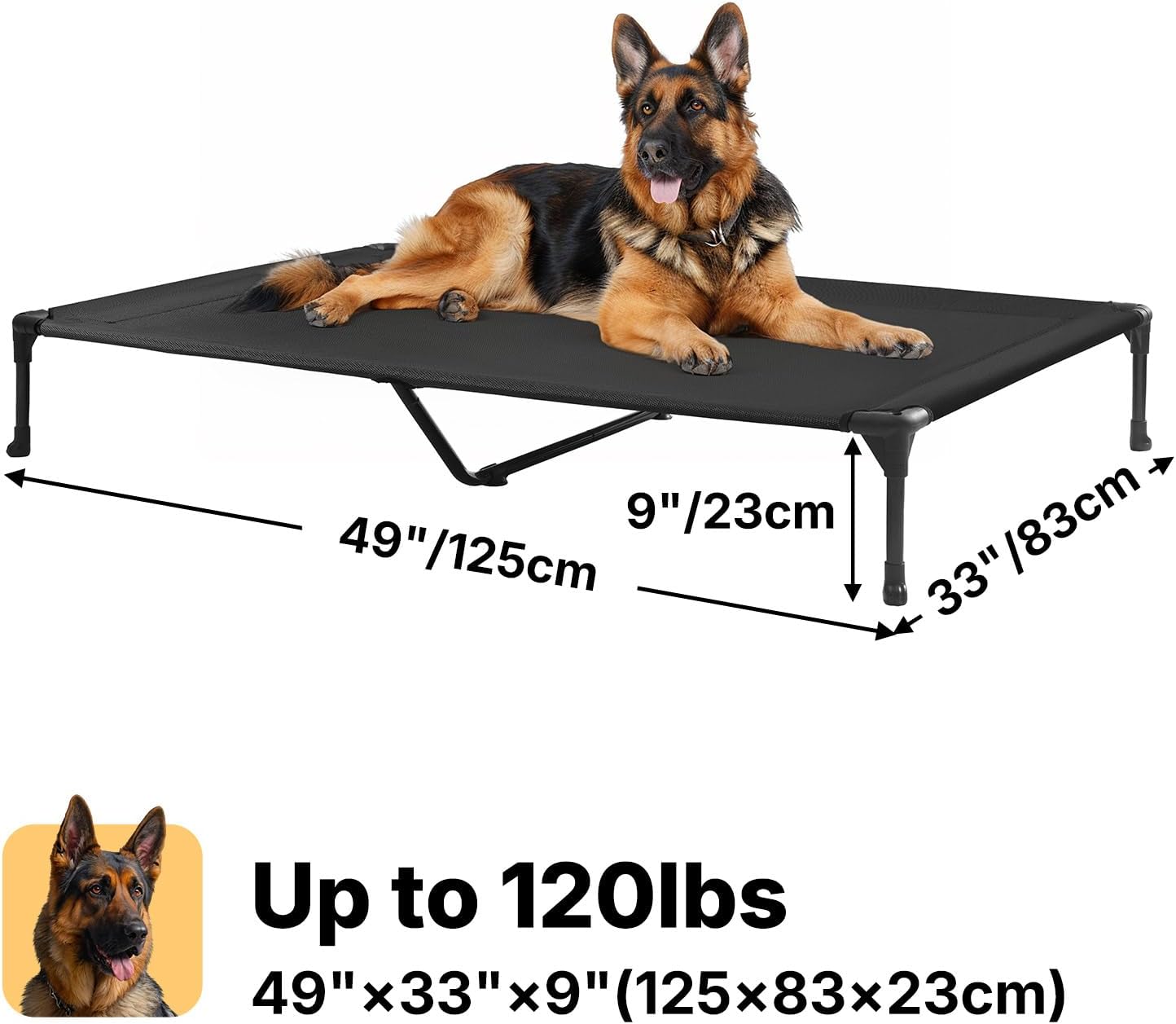 Dog lying on a black elevated pet bed with dimensions and weight capacity displayed.