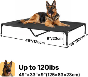 Dog lying on a black elevated pet bed with dimensions and weight capacity displayed.