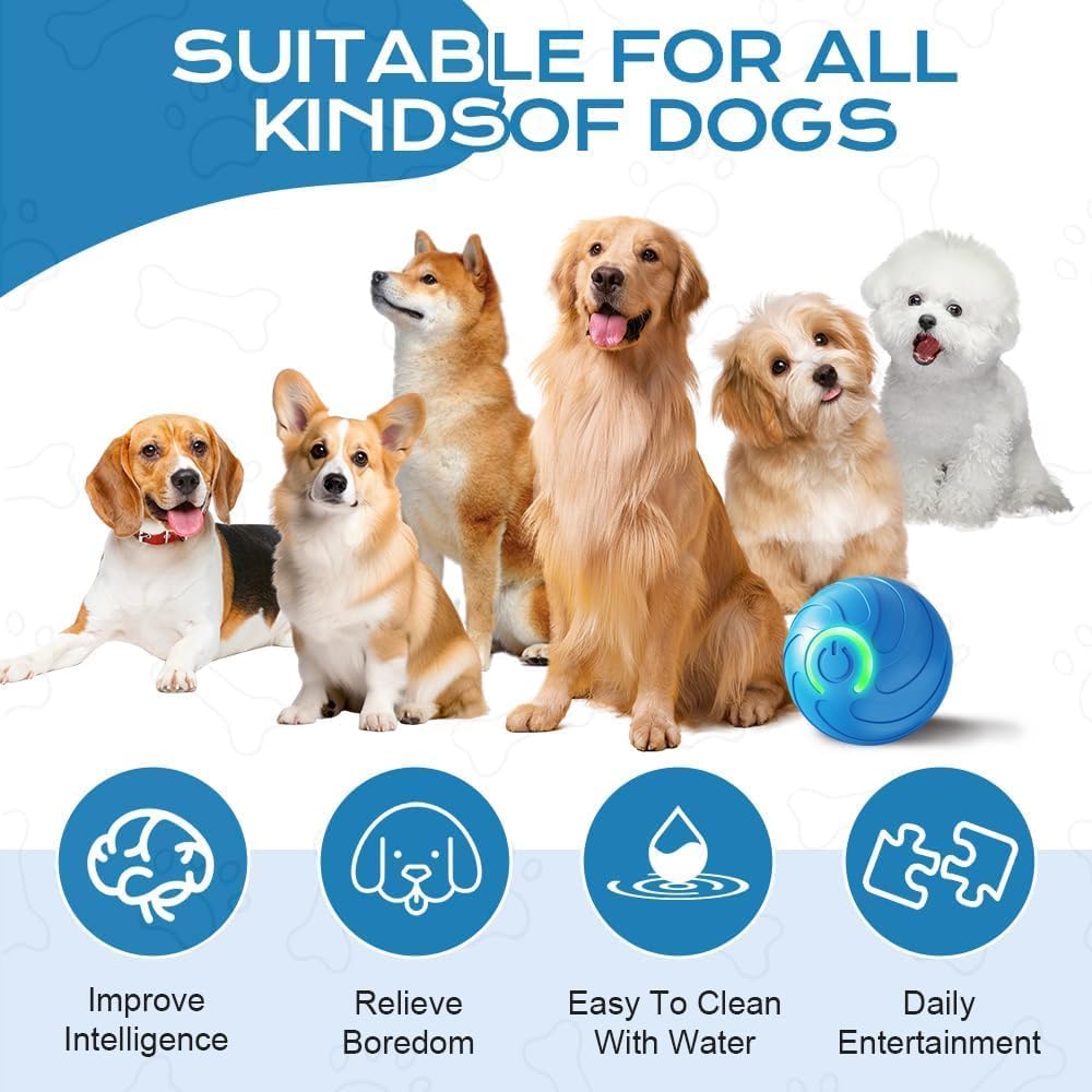 Group of dogs with a blue ball and text indicating suitability for all kinds of dogs at Pet Servo