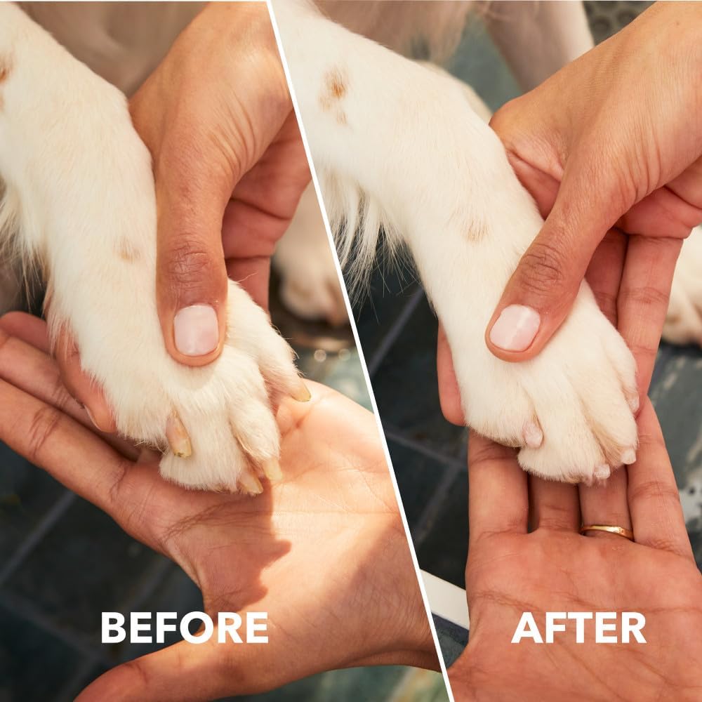Before and after comparison of a dog's paw being cleaned.