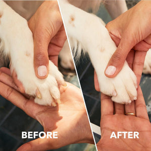 Before and after comparison of a dog's paw being cleaned.