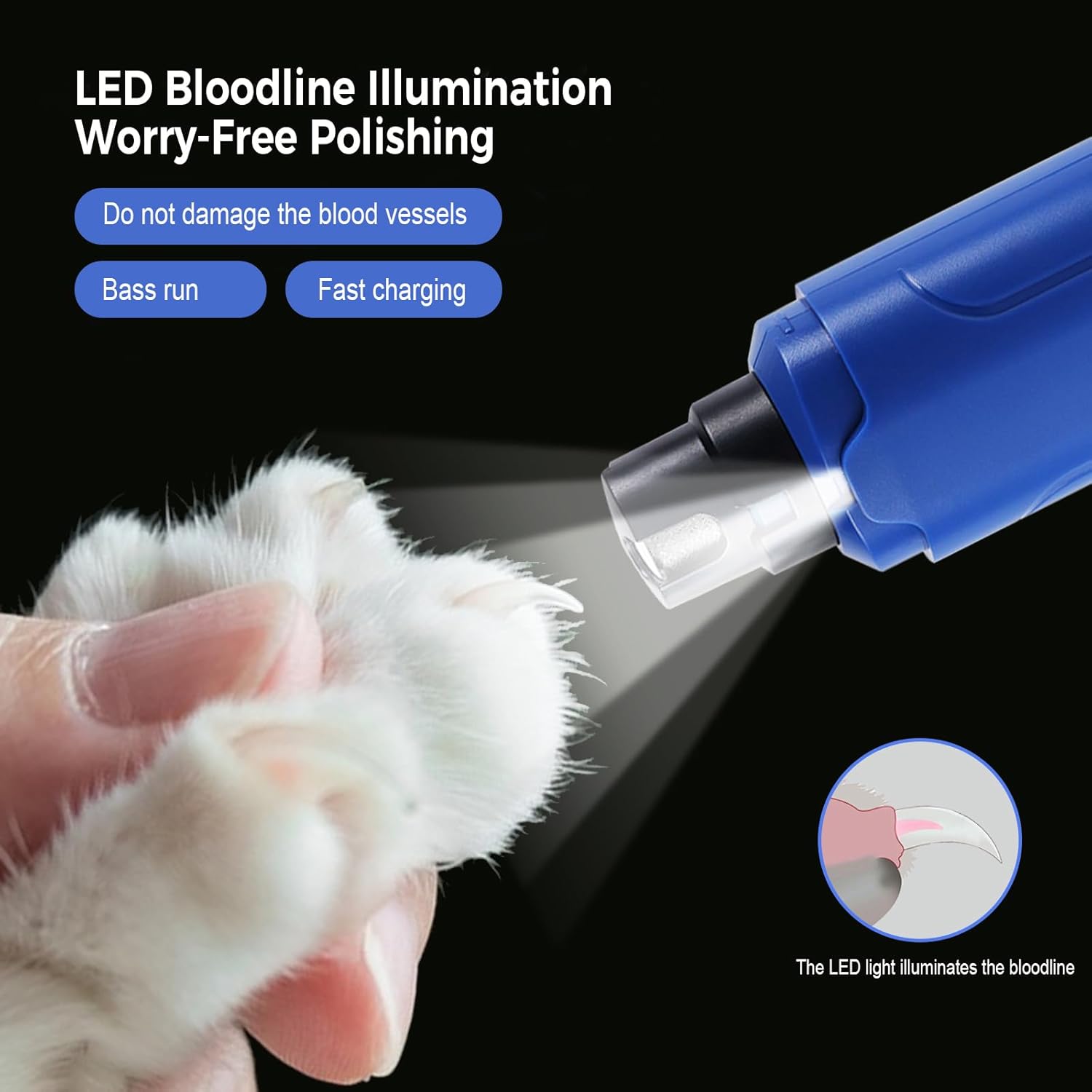 Blue LED tool being used on a white paw with text about bloodline illumination and polishing at Pet Servo